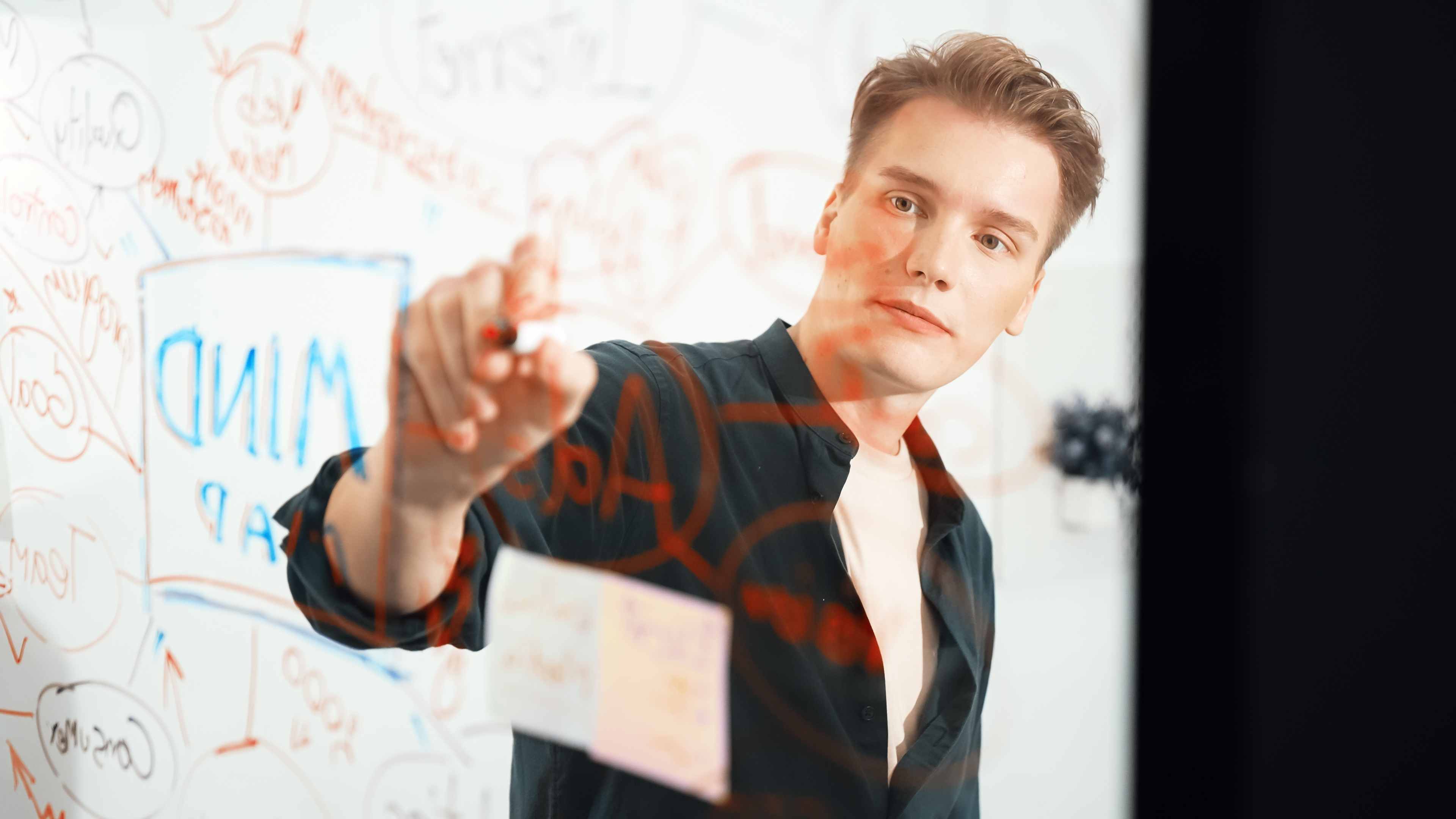 Бильд-редактор: навыки и перспективы